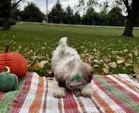 processed/5695edc8-7e2e-4a4d-8c1d-22dd100cf3c8/listing/36620097-22b1-44ff-9f1c-e7ed0c07438d/a734a770-b9d7-4a36-b288-f97138cf505b