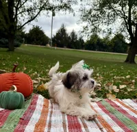 processed/5695edc8-7e2e-4a4d-8c1d-22dd100cf3c8/listing/36620097-22b1-44ff-9f1c-e7ed0c07438d/ac937e94-5957-4ece-8194-74a908d1e124