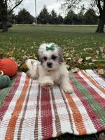 processed/5695edc8-7e2e-4a4d-8c1d-22dd100cf3c8/listing/36620097-22b1-44ff-9f1c-e7ed0c07438d/baddd43f-5ad8-4be4-8949-1ec544da54b1