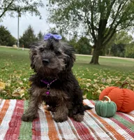 processed/5695edc8-7e2e-4a4d-8c1d-22dd100cf3c8/listing/85fc7be5-60d2-4a57-8e7f-44a8d381aac8/4946153b-29fc-4375-a5fd-c1bffb8e1bd4