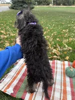 processed/5695edc8-7e2e-4a4d-8c1d-22dd100cf3c8/listing/85fc7be5-60d2-4a57-8e7f-44a8d381aac8/5a81dccc-6203-4b69-8704-8b098d790bbc