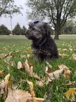 processed/5695edc8-7e2e-4a4d-8c1d-22dd100cf3c8/listing/85fc7be5-60d2-4a57-8e7f-44a8d381aac8/d745951c-ebcb-4cf6-ae2b-e38bae227a9d