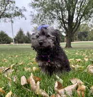 processed/5695edc8-7e2e-4a4d-8c1d-22dd100cf3c8/listing/85fc7be5-60d2-4a57-8e7f-44a8d381aac8/ec43047f-5808-4baf-bd65-123782750135