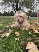 processed/5695edc8-7e2e-4a4d-8c1d-22dd100cf3c8/listing/d2546293-6a5c-4b71-9329-86fb08fc2fdf/203000a0-99a7-4a0a-81a1-b5c806f27612