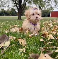 processed/5695edc8-7e2e-4a4d-8c1d-22dd100cf3c8/listing/d2546293-6a5c-4b71-9329-86fb08fc2fdf/59baea91-0de7-49dd-b19f-35136a6571b1