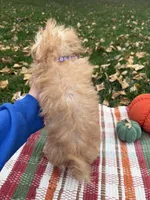 processed/5695edc8-7e2e-4a4d-8c1d-22dd100cf3c8/listing/d2546293-6a5c-4b71-9329-86fb08fc2fdf/6201aab4-31a0-4f88-8763-5e832ab5829c