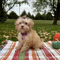 processed/5695edc8-7e2e-4a4d-8c1d-22dd100cf3c8/listing/d2546293-6a5c-4b71-9329-86fb08fc2fdf/b78889ac-5d65-4769-8626-f115f8488173