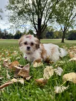 processed/5695edc8-7e2e-4a4d-8c1d-22dd100cf3c8/listing/e85968fa-1044-42e9-beee-700ddca643f9/25a2600e-6a53-44d9-96e4-5ea845b66876