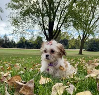 processed/5695edc8-7e2e-4a4d-8c1d-22dd100cf3c8/listing/e85968fa-1044-42e9-beee-700ddca643f9/47bc060c-93c8-4944-aba5-1dd8ee19dbe9