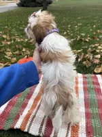 processed/5695edc8-7e2e-4a4d-8c1d-22dd100cf3c8/listing/e85968fa-1044-42e9-beee-700ddca643f9/52359c58-70ba-4b74-a7bc-77dc93a169f2