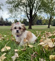 processed/5695edc8-7e2e-4a4d-8c1d-22dd100cf3c8/listing/e85968fa-1044-42e9-beee-700ddca643f9/88030a3d-6abb-41e5-bcf6-349349b4fd26