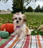 processed/5695edc8-7e2e-4a4d-8c1d-22dd100cf3c8/listing/e85968fa-1044-42e9-beee-700ddca643f9/c6d24377-9e40-47a0-9eb8-a8174e7e178f