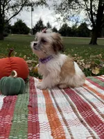 processed/5695edc8-7e2e-4a4d-8c1d-22dd100cf3c8/listing/e85968fa-1044-42e9-beee-700ddca643f9/f73cce8a-36f5-4046-a005-16fb4d575438