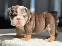 processed/56a148d8-644e-4b81-afa6-16cc44d95a20/facility/4de9acce-a23f-4336-9895-428397bedfcb