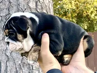 processed/56a148d8-644e-4b81-afa6-16cc44d95a20/listing/52e1148e-bbd7-4f2b-b38c-cd4f9a2d51dc/457fc747-39f6-4f6a-b5a7-09604bfc61f1