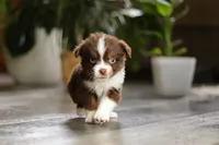 processed/56c31b2e-15d7-4b3d-bd54-36340d563ff8/listing/dcc6e30f-d809-45f6-b809-888575881de4/afb24dc8-3ed2-4d25-aba5-93cc6e08df88