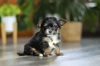 processed/56c31b2e-15d7-4b3d-bd54-36340d563ff8/listing/e18c16c6-f390-420b-b7a4-bbc16a2cf5f9/5e7230fa-e619-478d-a838-9f05a7c24ab5