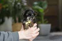 processed/56c31b2e-15d7-4b3d-bd54-36340d563ff8/listing/e18c16c6-f390-420b-b7a4-bbc16a2cf5f9/d0df4af6-72a4-44f1-b73e-71cde465e250