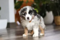 processed/56c31b2e-15d7-4b3d-bd54-36340d563ff8/listing/f0af92a4-5538-4078-aba3-f09b0b163009/921db6e8-bf6c-47f4-ae70-82443b407d9b