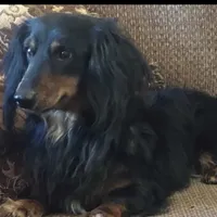 processed/56c3cb54-9fca-4443-b63b-2befa1d34838/facility/94b526a8-cfe6-49cb-87f0-6f9b4b9c9d29