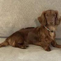 processed/56c3cb54-9fca-4443-b63b-2befa1d34838/facility/caf39c2c-ea2a-4190-9489-523331bb7ef3