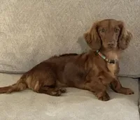 processed/56c3cb54-9fca-4443-b63b-2befa1d34838/facility/caf39c2c-ea2a-4190-9489-523331bb7ef3