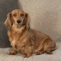 processed/56c3cb54-9fca-4443-b63b-2befa1d34838/facility/f772df1e-4032-4191-af13-5d76ac22410e