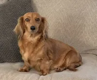 processed/56c3cb54-9fca-4443-b63b-2befa1d34838/facility/f772df1e-4032-4191-af13-5d76ac22410e