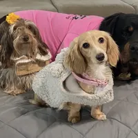 processed/56c3cb54-9fca-4443-b63b-2befa1d34838/facility/f90c13fa-4500-4e9d-9b4b-c80f15685907