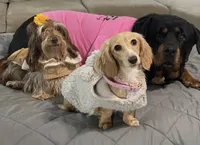 processed/56c3cb54-9fca-4443-b63b-2befa1d34838/facility/f90c13fa-4500-4e9d-9b4b-c80f15685907