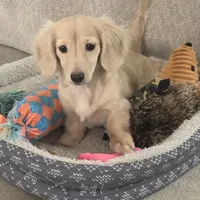 processed/56c3cb54-9fca-4443-b63b-2befa1d34838/facility/fd02026b-818c-46e4-8601-d253f5239890