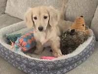 processed/56c3cb54-9fca-4443-b63b-2befa1d34838/facility/fd02026b-818c-46e4-8601-d253f5239890