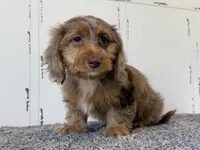 processed/56c3cb54-9fca-4443-b63b-2befa1d34838/listing/61abdcc2-c95b-4f2b-b2e5-55ae9788991e/0c383638-36d1-48ee-b18b-e346026f10f7