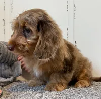 processed/56c3cb54-9fca-4443-b63b-2befa1d34838/listing/61abdcc2-c95b-4f2b-b2e5-55ae9788991e/17107abc-4553-4fee-8512-3c8eee10319a