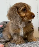 processed/56c3cb54-9fca-4443-b63b-2befa1d34838/listing/61abdcc2-c95b-4f2b-b2e5-55ae9788991e/54ab4f1a-2cea-4b5c-9abc-9fb891a48a54