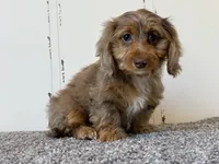 processed/56c3cb54-9fca-4443-b63b-2befa1d34838/listing/61abdcc2-c95b-4f2b-b2e5-55ae9788991e/9715b81d-9f81-4eba-afc9-b8b83137d429