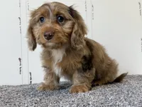 processed/56c3cb54-9fca-4443-b63b-2befa1d34838/listing/61abdcc2-c95b-4f2b-b2e5-55ae9788991e/f700944c-38e8-4568-b739-03e068fe4ab5