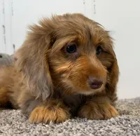 processed/56c3cb54-9fca-4443-b63b-2befa1d34838/listing/adec3b11-e840-4fe3-9199-3e0cf1617bdd/1214f6e0-91d0-493d-b25f-7aa85d63c1bb