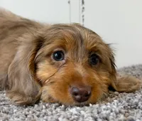 processed/56c3cb54-9fca-4443-b63b-2befa1d34838/listing/adec3b11-e840-4fe3-9199-3e0cf1617bdd/373f15e3-eb38-4eba-8040-bf8d398fbbed