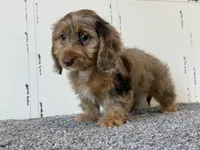 processed/56c3cb54-9fca-4443-b63b-2befa1d34838/listing/adec3b11-e840-4fe3-9199-3e0cf1617bdd/5c8b708c-e985-42c2-a578-bc9ce77ce254