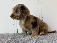 processed/56c3cb54-9fca-4443-b63b-2befa1d34838/listing/adec3b11-e840-4fe3-9199-3e0cf1617bdd/5df2372a-05b0-4222-9d0b-102081d4ffc2