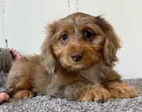 processed/56c3cb54-9fca-4443-b63b-2befa1d34838/listing/adec3b11-e840-4fe3-9199-3e0cf1617bdd/a19bddc9-efeb-4ffe-b120-6cf37fea8503