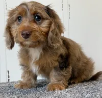 processed/56c3cb54-9fca-4443-b63b-2befa1d34838/listing/adec3b11-e840-4fe3-9199-3e0cf1617bdd/c557e590-2565-4047-95a6-edfb8ae4ff43