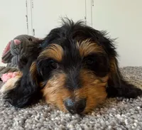 processed/56c3cb54-9fca-4443-b63b-2befa1d34838/listing/e2636bde-1274-4f9a-b2db-9b21da5c2735/150f4fad-fb66-4088-85ac-070b5971dea6