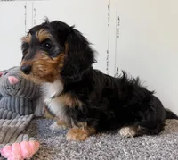 processed/56c3cb54-9fca-4443-b63b-2befa1d34838/listing/e2636bde-1274-4f9a-b2db-9b21da5c2735/6828b3a7-45be-4a06-985f-d4457d6f6eb8