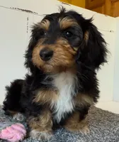 processed/56c3cb54-9fca-4443-b63b-2befa1d34838/listing/e2636bde-1274-4f9a-b2db-9b21da5c2735/6f8be362-a4f4-4a76-9362-76293f66b66a