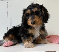 processed/56c3cb54-9fca-4443-b63b-2befa1d34838/listing/e2636bde-1274-4f9a-b2db-9b21da5c2735/ad8d3cfb-a753-4505-a350-1163886dd744