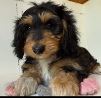 processed/56c3cb54-9fca-4443-b63b-2befa1d34838/listing/e2636bde-1274-4f9a-b2db-9b21da5c2735/e6883df5-aaff-4212-bb69-215d5800757c