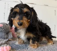 processed/56c3cb54-9fca-4443-b63b-2befa1d34838/listing/e2636bde-1274-4f9a-b2db-9b21da5c2735/fea84cc8-0a3a-4074-8b85-4ec4ba2fb8e7