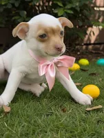 processed/56d7156a-19f4-42c4-82eb-b820ba9a120b/facility/38b0535f-7947-4823-b103-692820e114c9